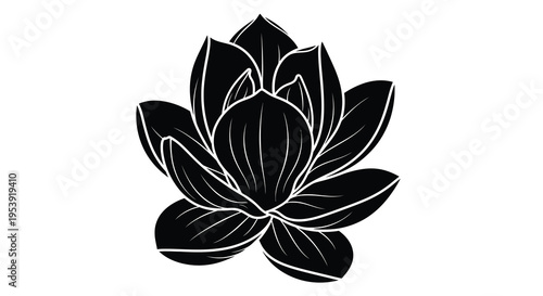 A striking black and white illustration depicts a blossoming lotus flower with elegant flowing petals