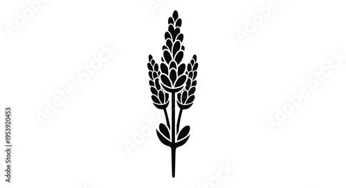 A simple black and white illustration depicts a stylized lavender sprig with detailed flower buds high quality