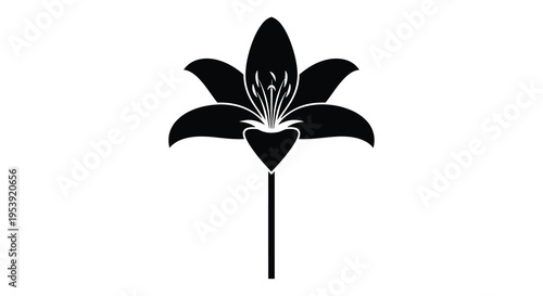 A striking black and white silhouette depicts a single lily flower with a long stem