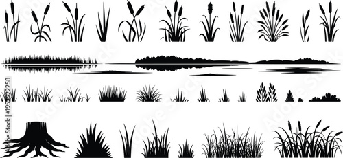 Grass, reed and wetland plant silhouettes collection, black vector set with cattails, bushes, stumps and meadow elements isolated on white background