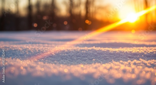 Snow-covered field with a bright sun shining through the trees.