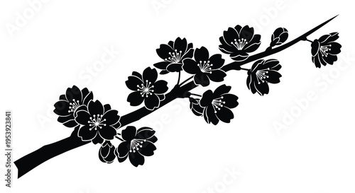 A delicate black silhouette depicts a blossoming cherry branch with detailed floral features high quality