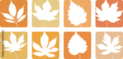 Autum leaves set collection, dry leaves design, nature collection
