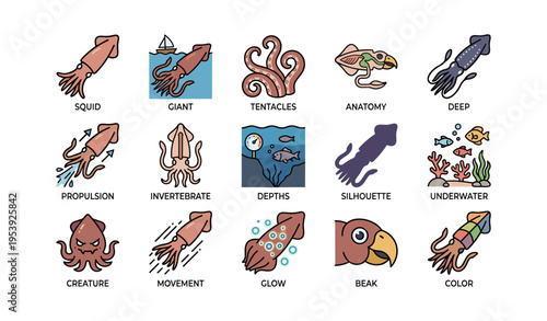 Collection of squid illustrations featuring tentacles, deep sea habitat, and unique anatomy