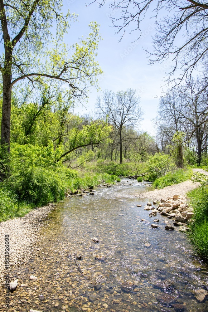 Fototapeta premium Creek at Swiss Valley Nature Preserve in Dubuque, Iowa