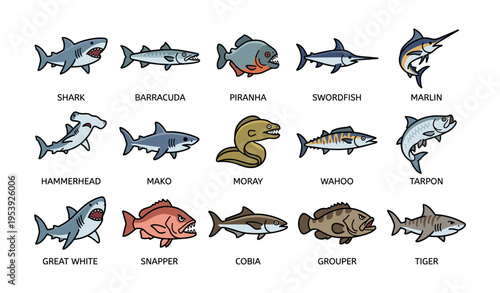 Cartoon sea creatures: shark, swordfish, piranha, and more - marine wildlife illustrations