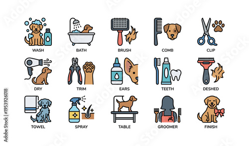 Dog grooming steps: bathing, brushing, ear cleaning, and more