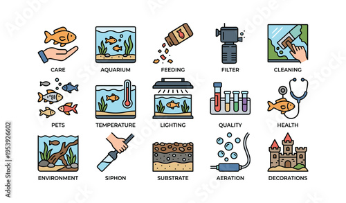 Aquarium care essentials: feeding, cleaning, and health maintenance