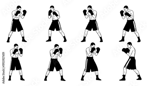 Boxing stance vector collection with detailed fighter poses and accurate combat positioning for training illustration