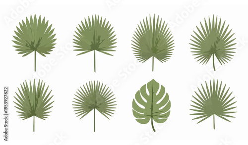 Palm leaf vector set with tropical foliage elements in minimal flat style for nature inspired design