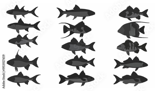 Aquatic fish silhouette vector collection with detailed species shapes for marine and fishing design projects