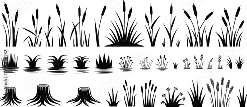Reed and grass silhouettes collection, black vector plants with cattails, bushes, stumps and wetland elements, nature design set isolated on white background