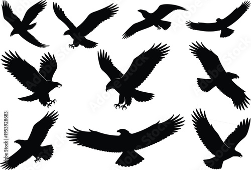 Set of eagle silhouettes in flight, black vector collection of birds of prey with wings spread, isolated illustration for wildlife design