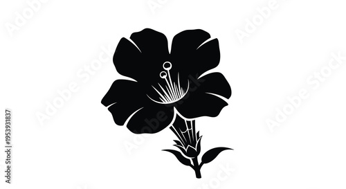 A striking black silhouette showcases a single evening primrose flower in full bloom high quality
