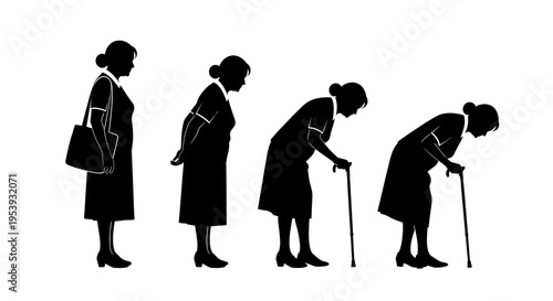 Illustration of a woman's aging process.