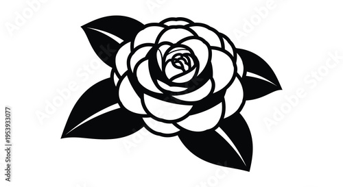 A striking black and white illustration depicts a single camellia flower in full bloom with leaves
