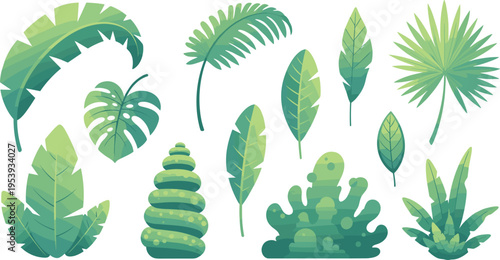 Tropical Leaves and Plants Vector Illustration Set with Monstera, Palm, Banana Leaves, Exotic Foliage, and Green Botanical Nature Collection