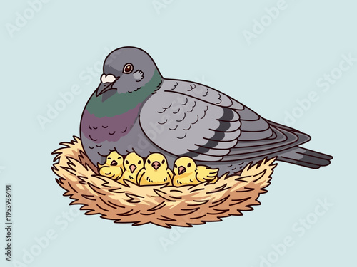 A Pigeon Mother Tends to Her Chicks in a Nest.