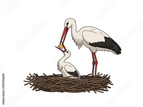 Parent stork feeding its baby in a nest.