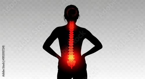 Back pain and spine silhouette illustration.