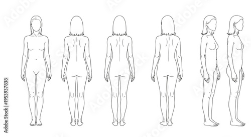 Human female figure outline drawings.