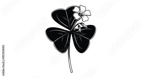 A striking black and white illustration depicts a four leaf clover with a single blossom