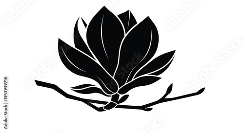 A striking black silhouette depicts a blossoming magnolia flower with delicate petals and stem