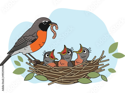 Robin feeding its hungry chicks in a nest.