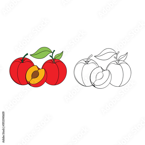 coloring book for kid  peaches vector 
