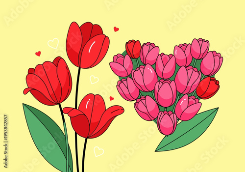 Beautiful Red and Pink Tulips Arranged in a Heart Shape.