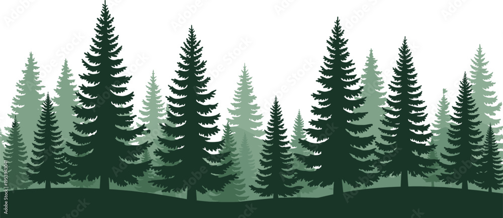 Obraz premium Layered evergreen pine forest landscape with misty conifer tree silhouettes serene green woodland nature background vector illustration design template
