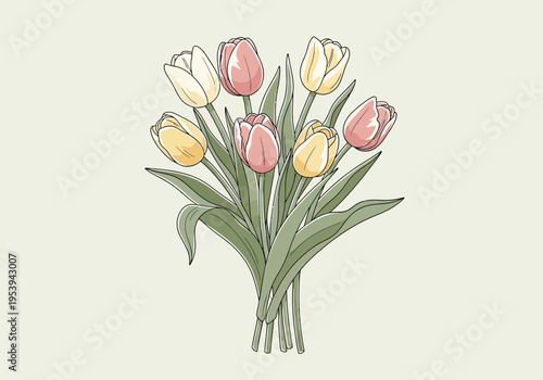 A beautiful bouquet of colorful tulips in bloom.