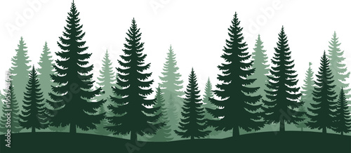Layered evergreen pine forest landscape with misty conifer tree silhouettes serene green woodland nature background vector illustration design template