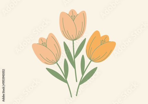 Three delicate peach colored tulips with green stems and leaves on a light background.