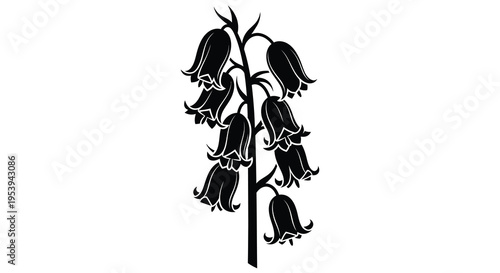 A striking black and white illustration depicts a cluster of bell shaped flowers on a stem high quality