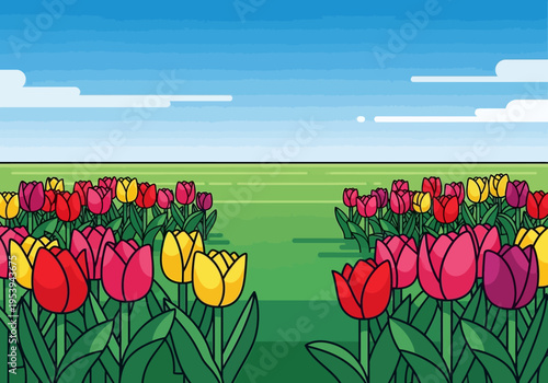 Vibrant Tulips Field in Full Bloom Under a Clear Blue Sky.