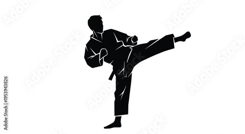 A striking silhouette depicts a martial artist executing a powerful side kick in motion