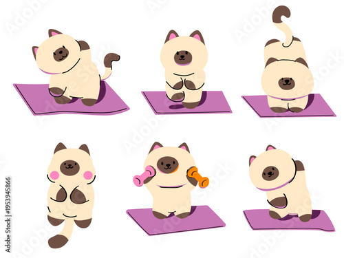 A set of images featuring cute cats exercising in yoga poses on a purple yoga mat, hand-drawn in cartoon style.