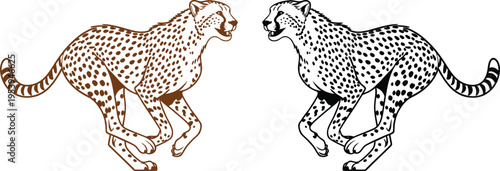 running cheetah pair illustration fast wild cats spotted predators sprinting big cats artwork