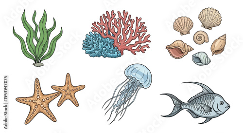 Colorful illustration depicting various marine life and coral on a white background