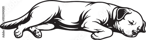 Rottweiler Sleeping On Side Relaxed Black and White Line Art Illustration