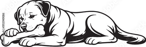 Rottweiler Chewing Bone Lying Down Side View Black and White Line Art Illustration
