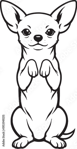 Chihuahua Sitting Beg Pose Front View Black and White Line Art Illustration