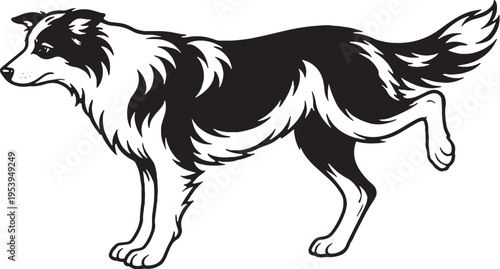 Chihuahua Shaking Water Off Full Body Shake Black and White Line Art