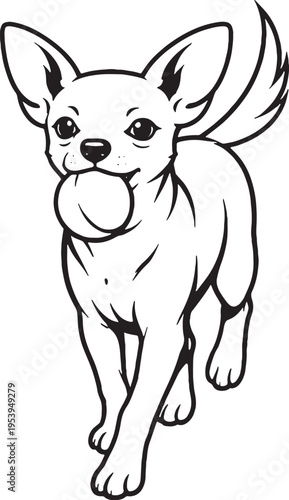 Chihuahua Fetch Return Carrying Ball Black and White Line Art Illustration