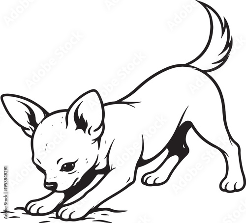 Chihuahua Digging Action Three Quarter View Black and White Line Art Illustration