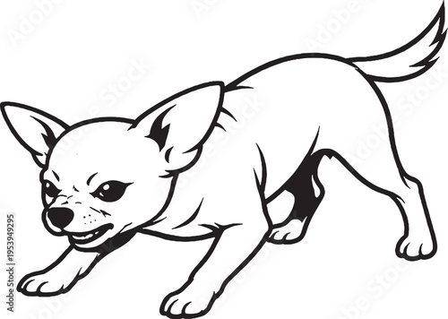 Chihuahua Growling Low Guard Stance Black and White Line Art Illustration