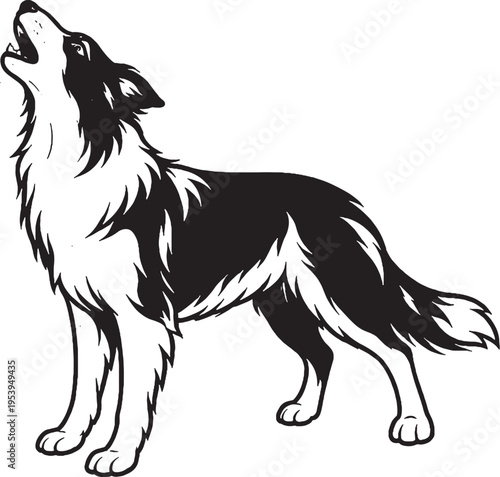 Border Collie Howling Head Up Side View Black and White Line Art