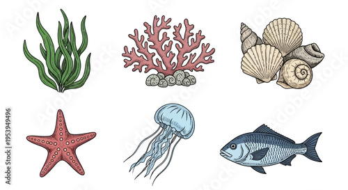 Colorful illustration of various marine life and coral reef elements on white background