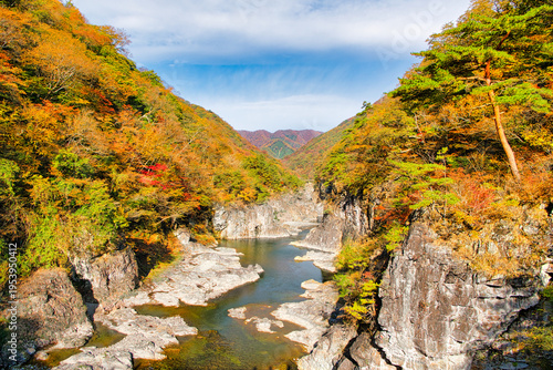 栃木県日光市　秋の紅葉に染まる龍王峡を流れる鬼怒川